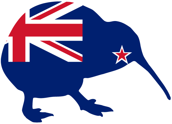 Two Countries One Visa For Icc - 2011 Rugby World Cup (595x430)