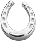 Lucky Horseshoe - Good Luck - Body Jewelry (480x480)