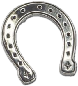 00 Buy Now - Lucky Horseshoe Pin (600x600)