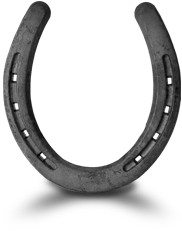 With Advice Straight From The Horse's Mouth - Earrings (1100x250)
