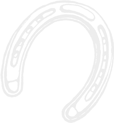 Your Horse On Canvas - Circle (400x400)