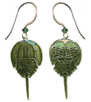Horseshoe Crab Earrings - Horseshoe Crab (750x750)