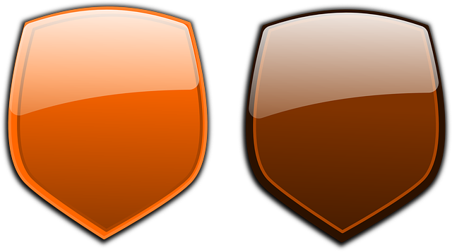 Protection, Armor, Badge, Glossy, Brown - Brown Glossy (640x357)