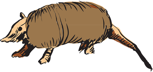 Brown, Art, Animal, Tail, Armor - Clipart Armadillo (640x320)