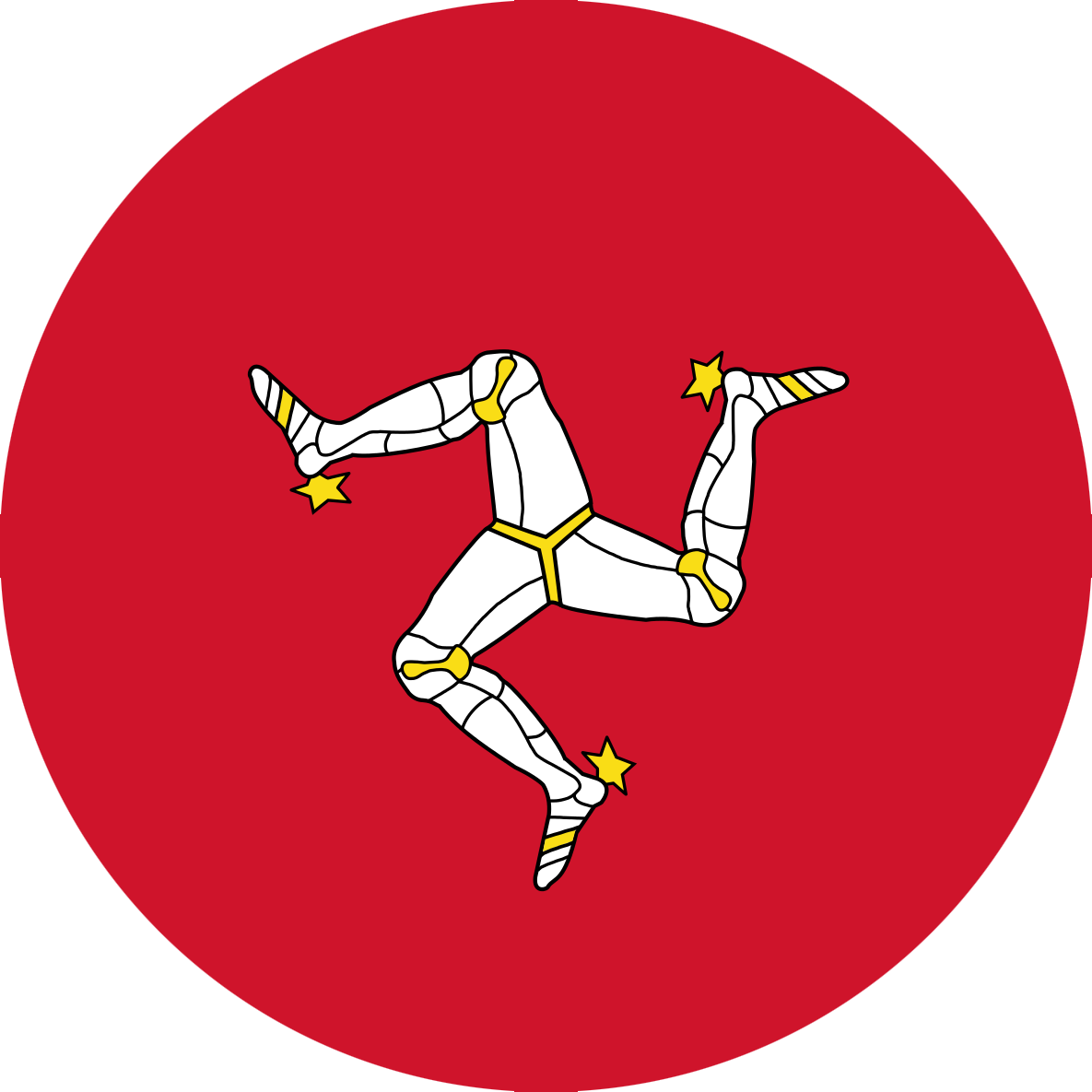 Mjh Systems Have Also Developed A Range Of Dvd's That - Small 25mm Lapel Pin Button Badge Novelty Isle Of Man (1185x1185)