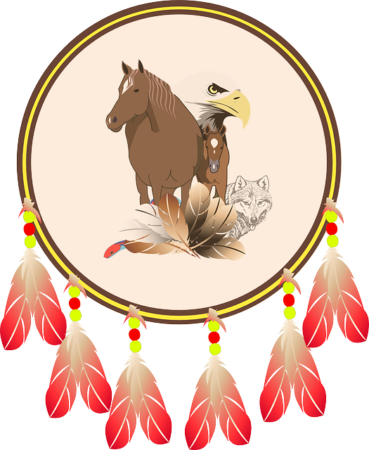 Eagle Indian Shield, Blason Indien, Shield, Horse, - Native American Shield Png (1049x1280)