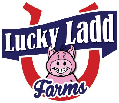 Season Ticket Holder Special Offer For Lucky Ladd Farms - Cartoon Farm Animals (392x360)