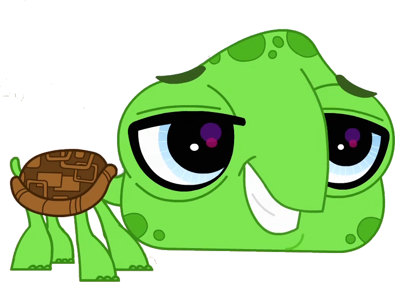 Lps Turtle Vector By Emilynevla - Lps Turtle (862x647)