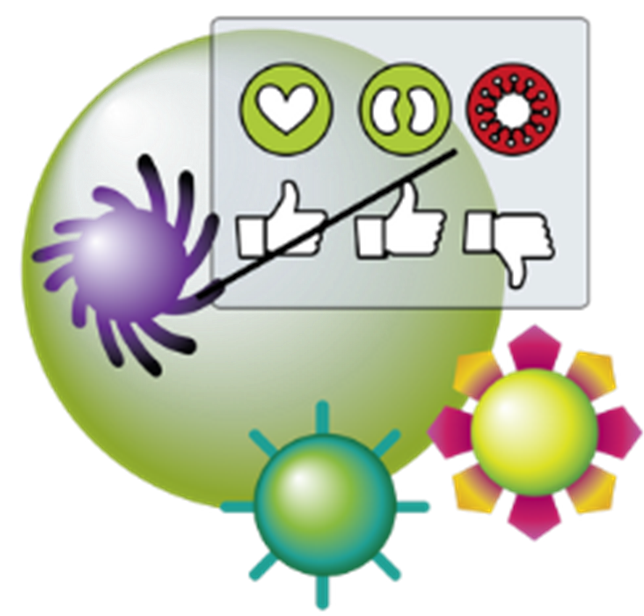 Immune-system Learning - Immune-system Learning (678x636)