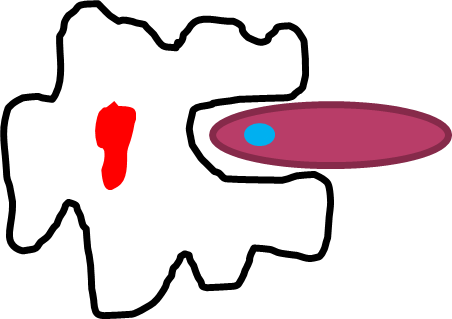 Phagocyte - Phagocyte (452x319)