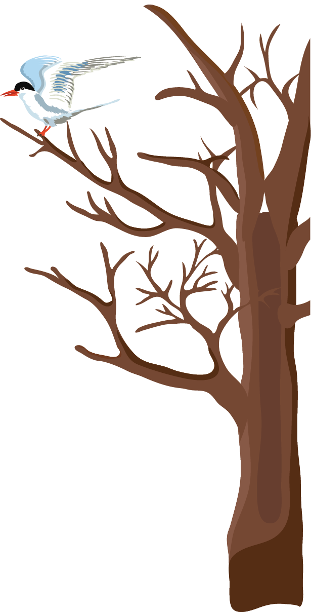 Daxue Winter Tree Clip Art - Daxue Winter Tree Clip Art (615x1208)