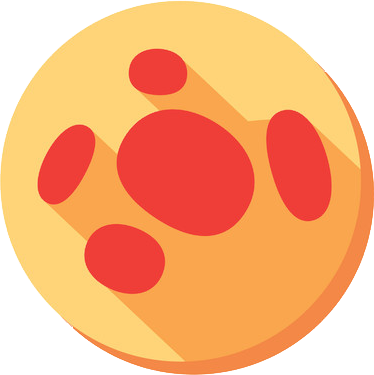 Immune System - Circle (374x375)