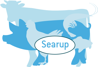 Lower Immune Defences - Illustration (550x330)