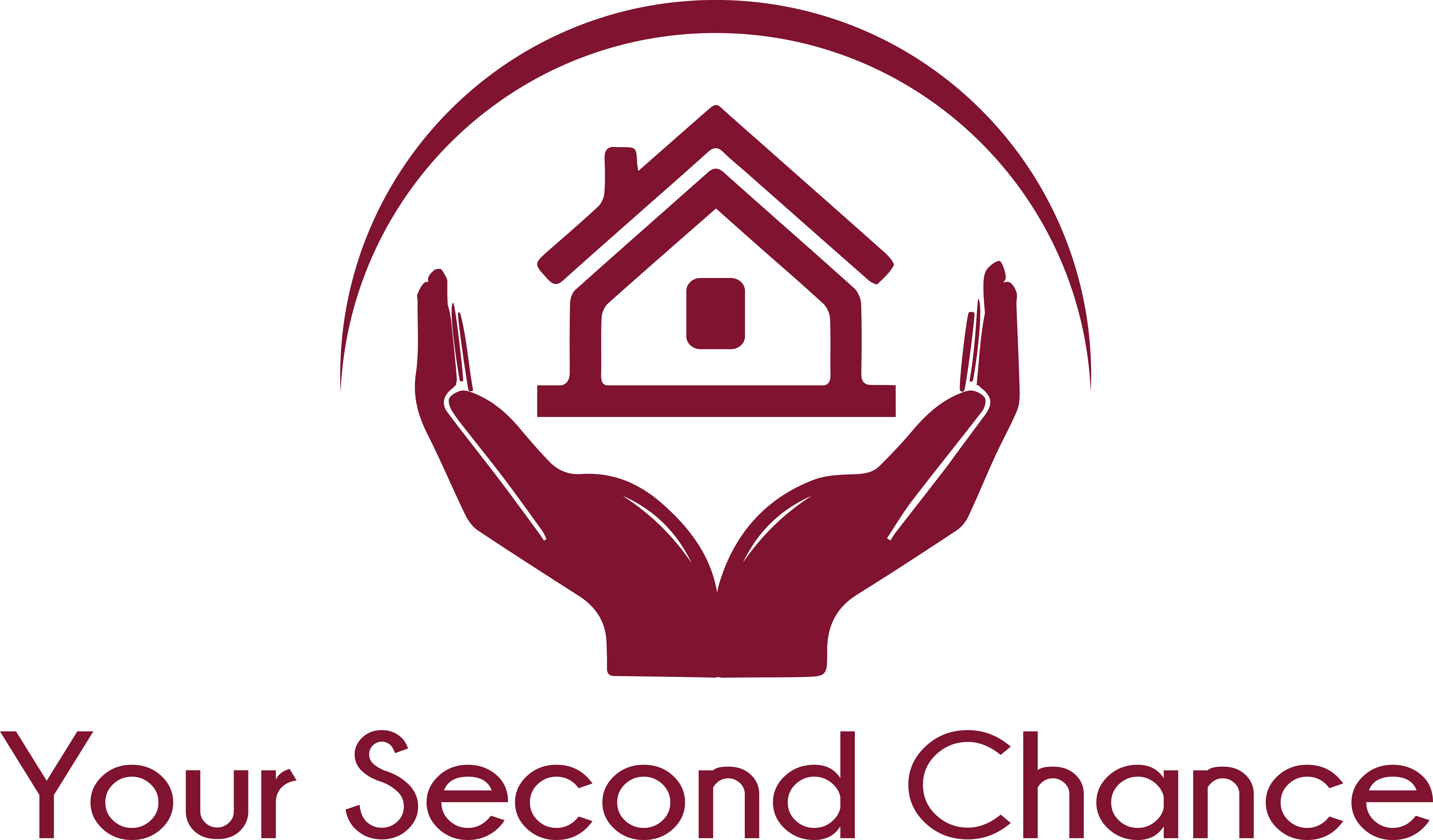 Handle With Care Program - Emblem (7691x4510)