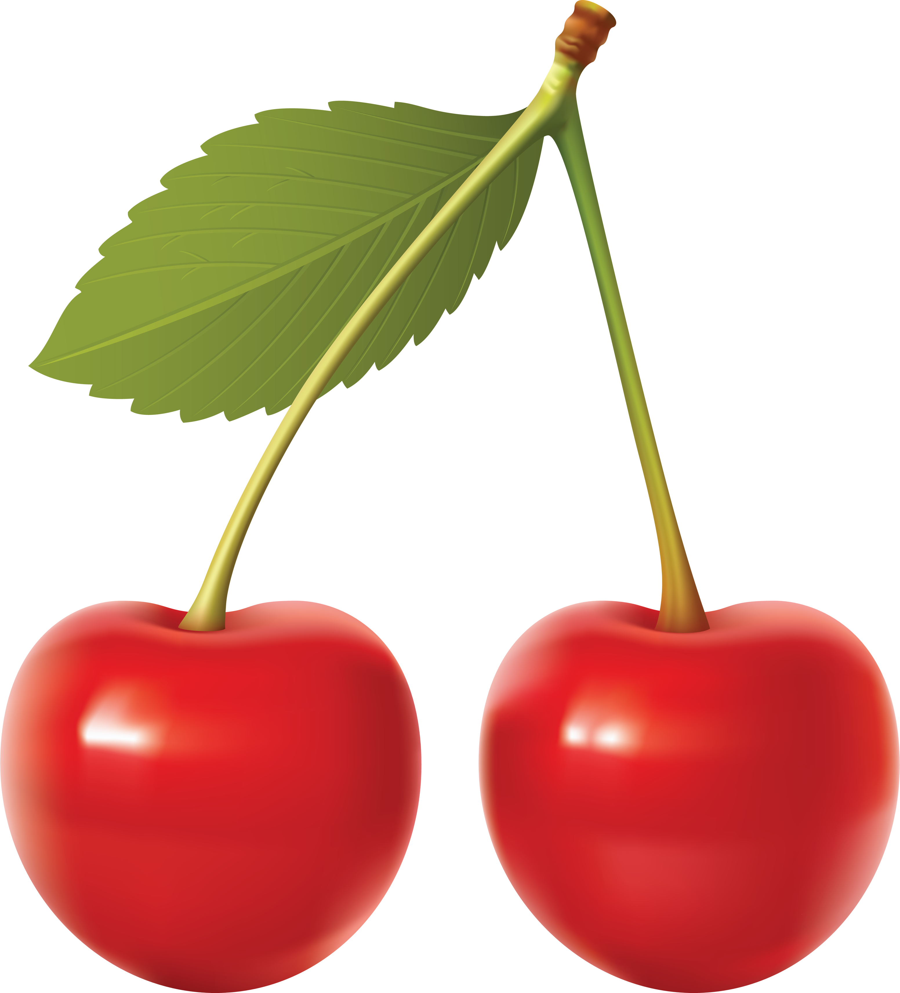 Cute Cherries Clip Art - Cherry With Transparent Background (3104x3425)