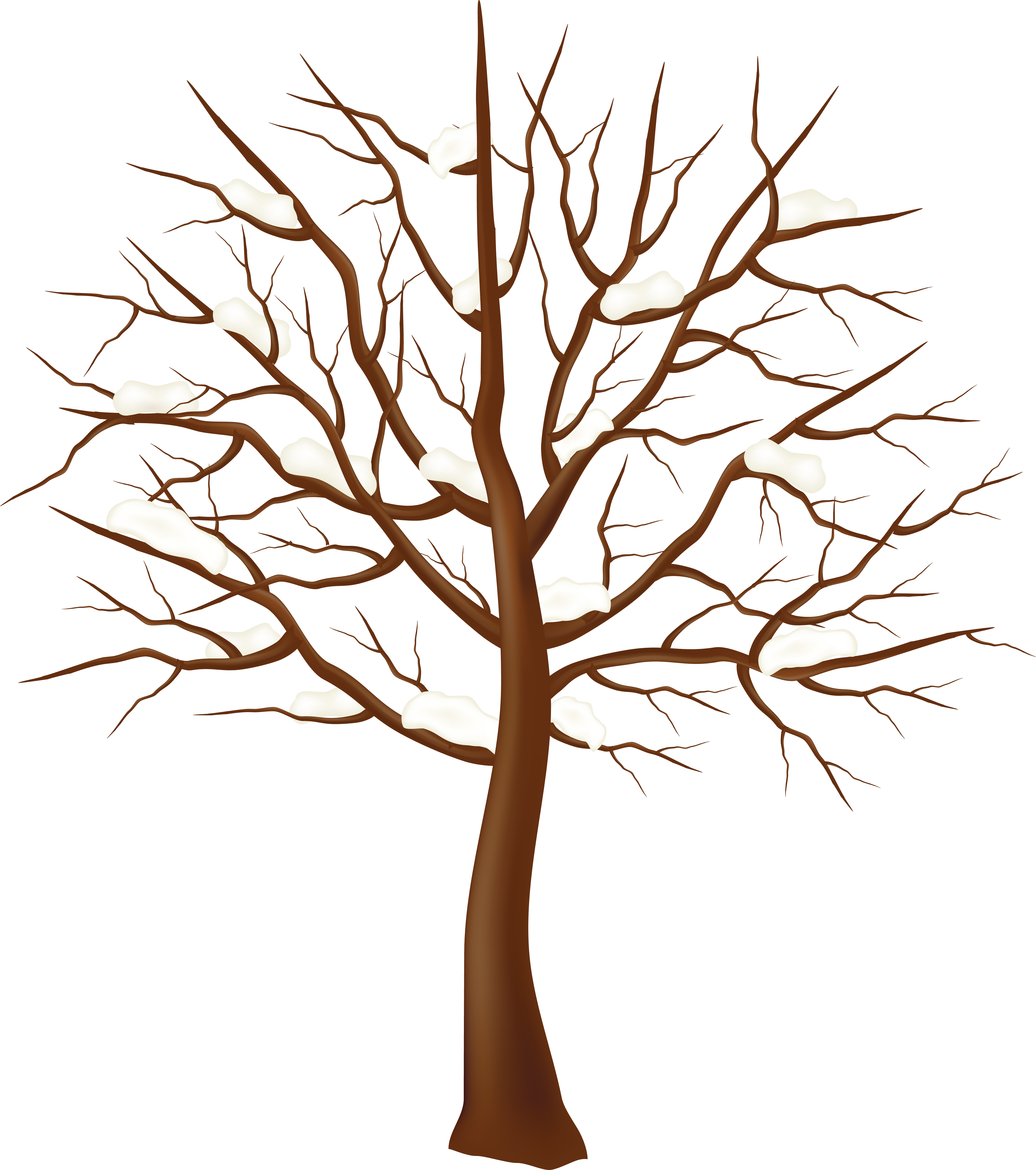 Tree Winter Clip Art - Tree Winter Clip Art (4875x5507)