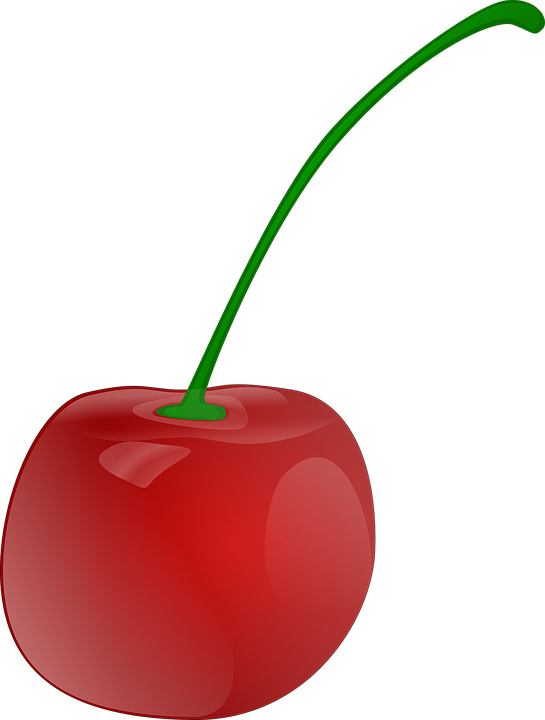 Cherries Clipart - Cherry Clipart (545x720)