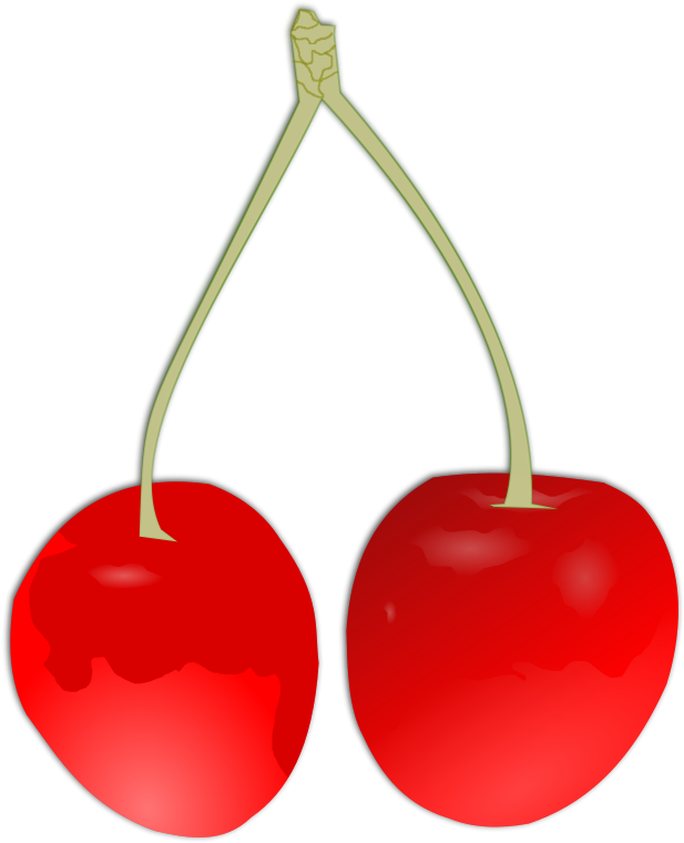 Pairs Of Cherries (1853x2283)