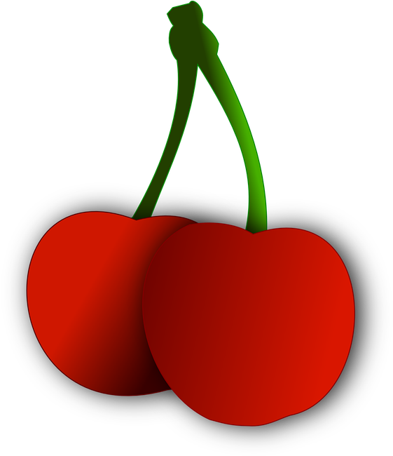 Summer Flower Clip Art Download - Cherry (718x720)