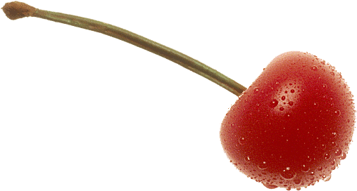 Cherry Png Images Transparent Free Download - Cherry Png (517x286)