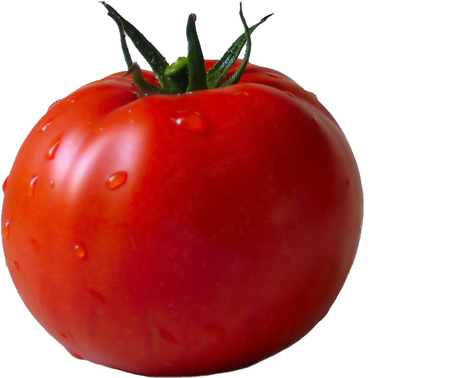 Cherry Tomato Clipart Clear Background - Tomato Png (1996x1596)