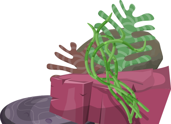 Dental Emergencies - Illustration (677x491)