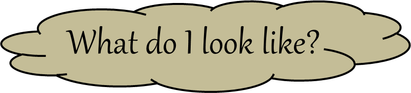 What Do I Look Like Pawprints - Does A Clouded Leopard Live (832x188)