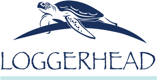 Loggerhead Community By Medalist Building Group - Medalist Building Group Llc (500x277)