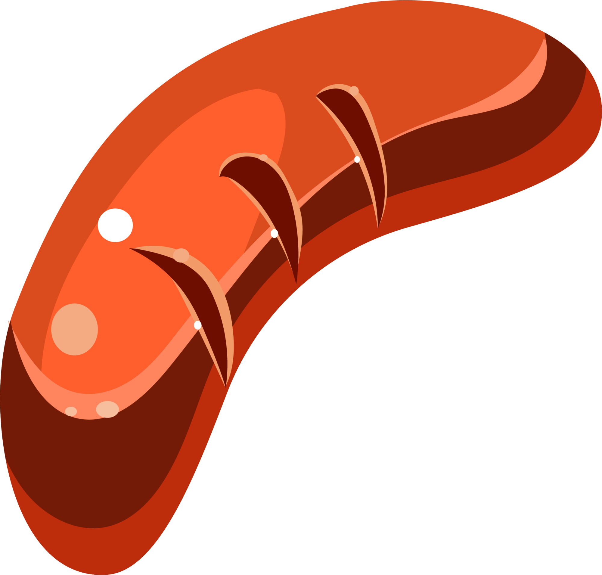 Hot Dog Hamburger Barbecue Clip Art - Hot Dog Hamburger Barbecue Clip Art (2000x1910)