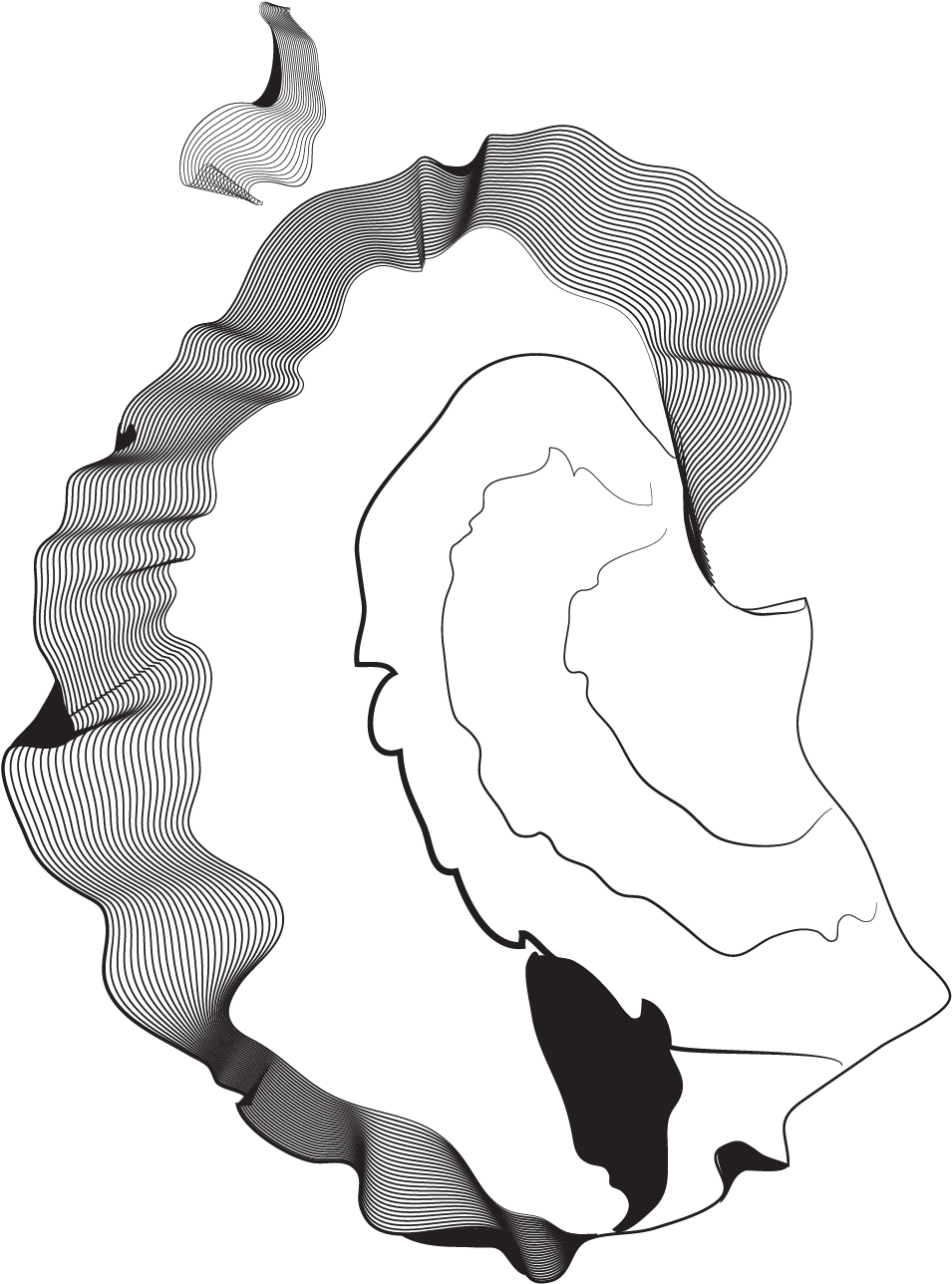 Baile Folklórico - South - Guerrero - Illustration (1800x1800)