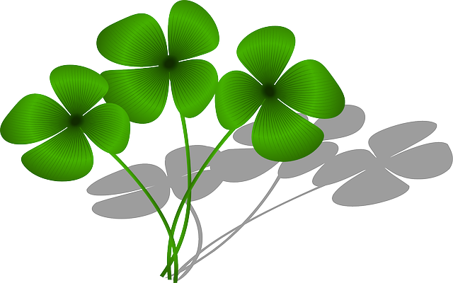 Clovers, Luck, Flora, Green, Plant, Symbol - Clovers Clipart (640x400)