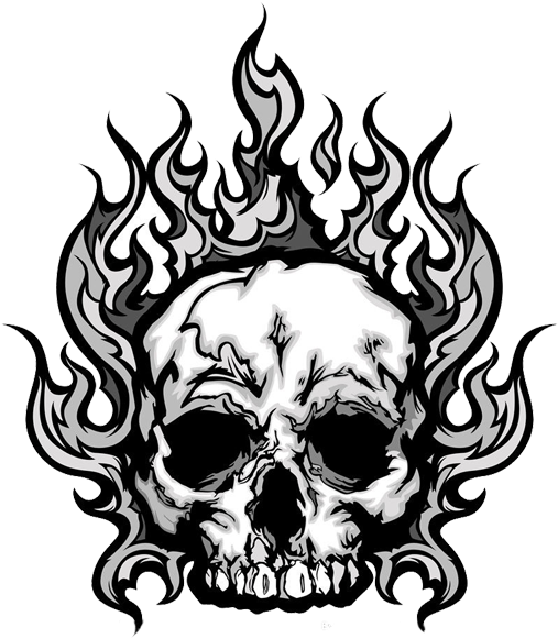 Skull Royalty-free Human Skeleton Clip Art - Skull Royalty-free Human Skeleton Clip Art (600x600)