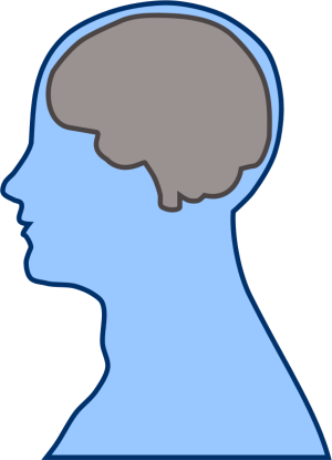 Hypnosis Archives Sbcc Center For Lifelong Learning - Blue Brain Clip Art (300x415)