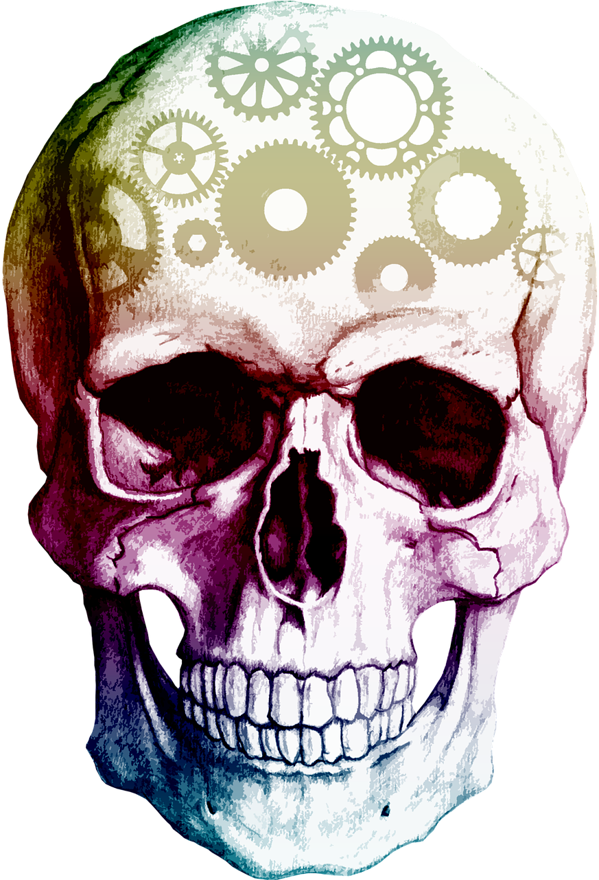 Skull Human Skeleton Clip Art - Skull Human Skeleton Clip Art (960x1280)