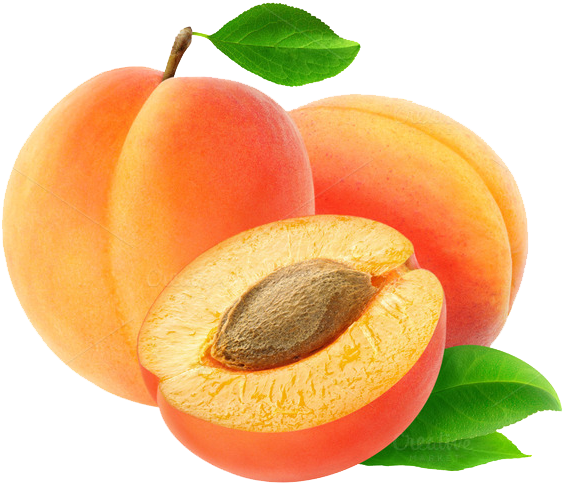 Apricot Png Transparent Image - Accidentally In Love Scentsy (680x588)