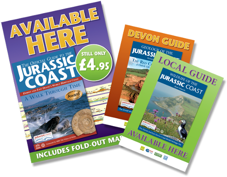 [image] A3 And A4 Point Of Sale Posters - Official Guide To The Jurassic Coast: Dorset And East (500x412)