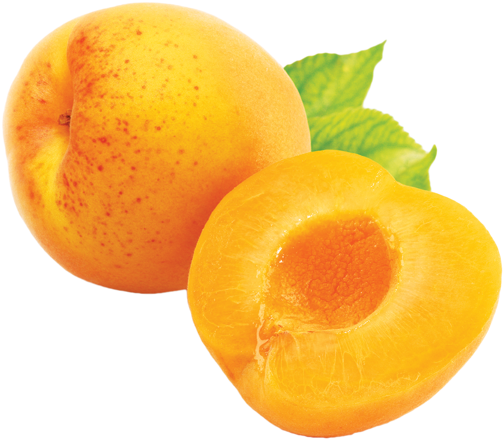 View & - Apricot Png (1024x1024)