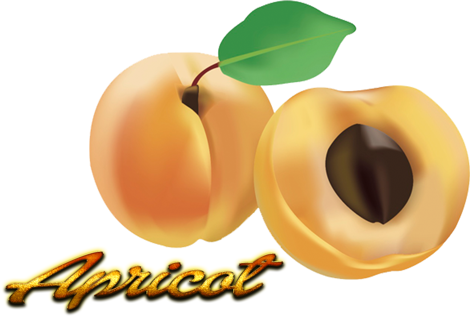 Apricot Png Pic - Apricot (1920x1200)