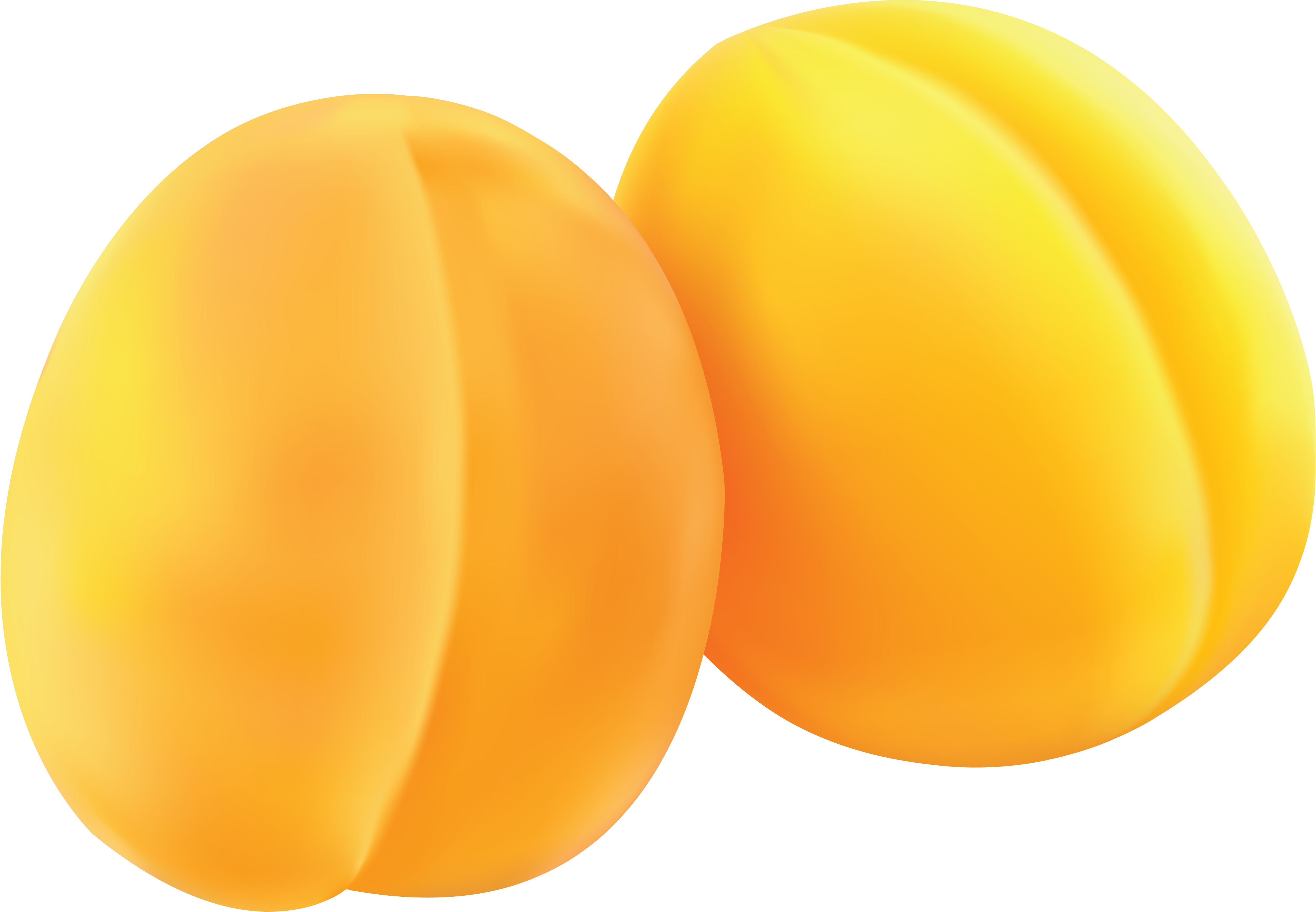 Apricots Png - Png Image Peach (5072x3516)