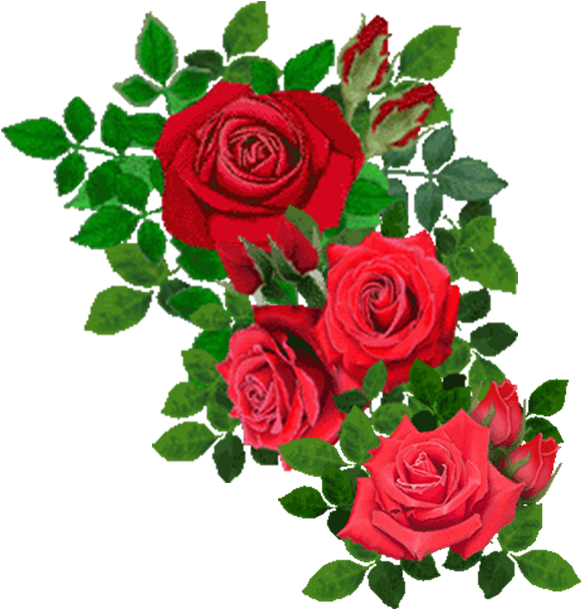 Beach Rose Flower Clip Art - Beach Rose Flower Clip Art (945x945)