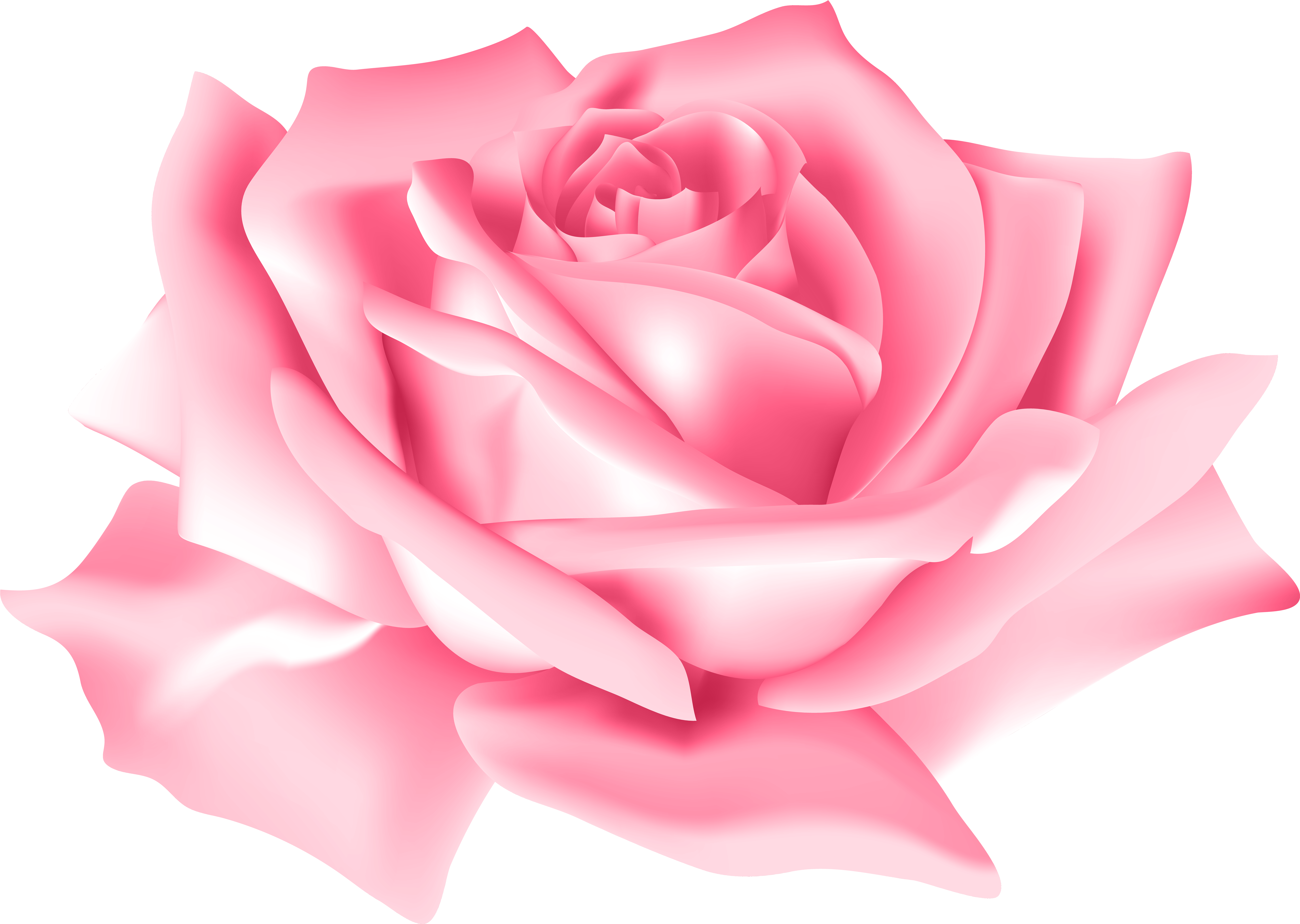 Pink Rose Flower Png Clip Art Image Pink Rose Flowers Png 8000x5687 Png Clipart Download