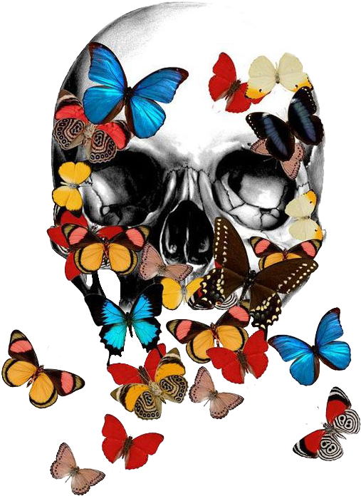 T-shirt Calavera Skull Bone Skeleton - T-shirt Calavera Skull Bone Skeleton (564x729)