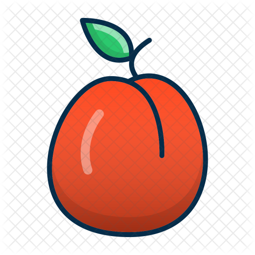 Apricot Icon - Royalty-free (512x512)