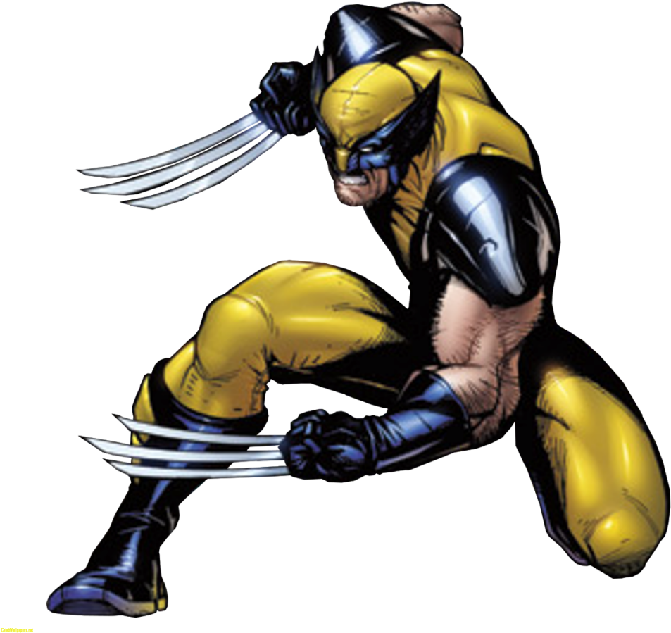Wolverine Hulk Storm Marvel Comics Clip Art - Wolverine Transparent Background (1024x1024)