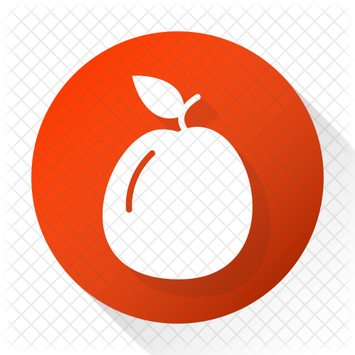 Apricot Icon - Fruit (512x512)