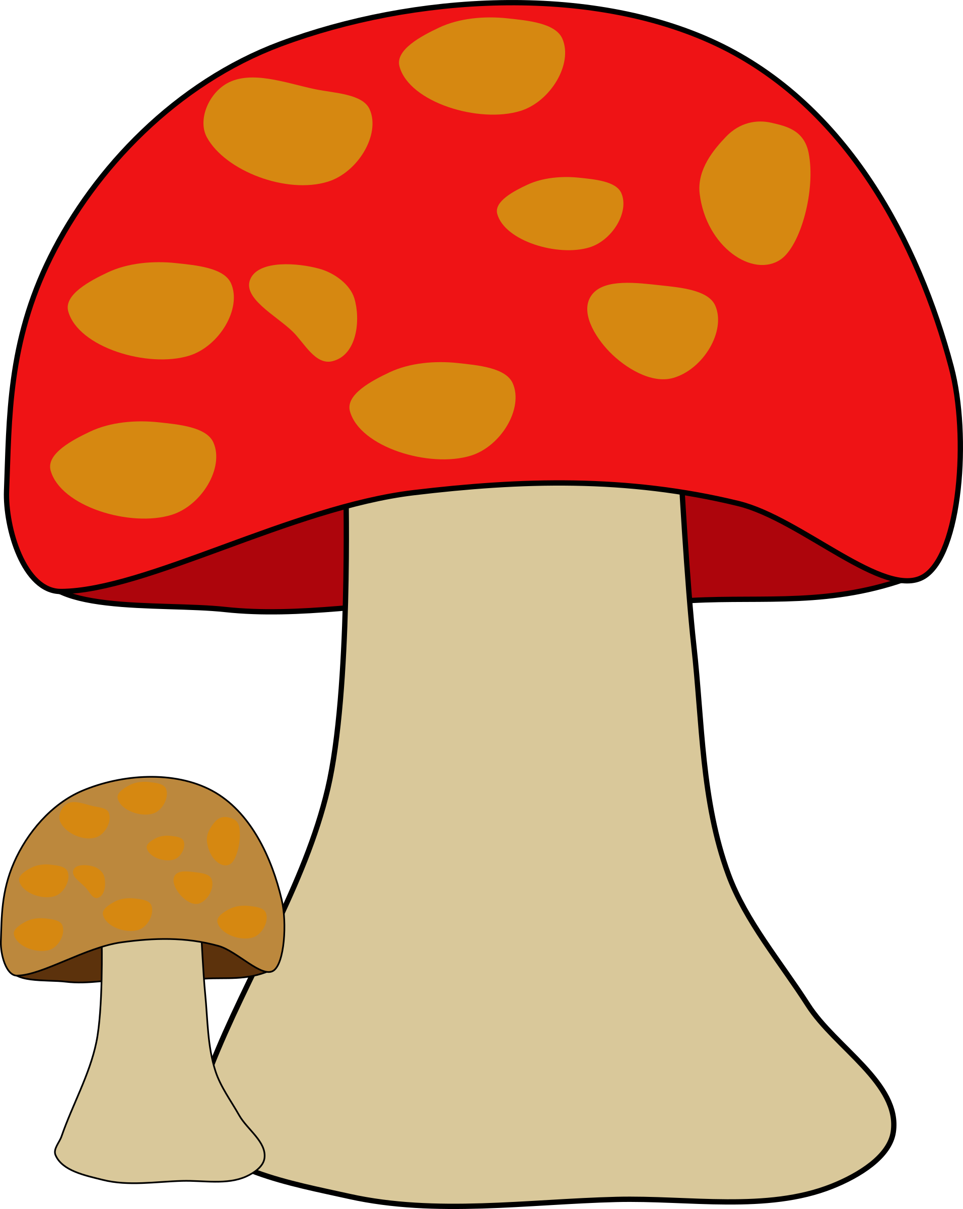 Mushroom Clipart Fungus - Organismo Hongo (1912x2400)
