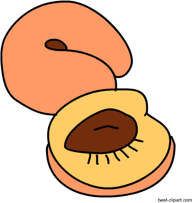 Apricots Clip Art Free - Apricot (450x450)