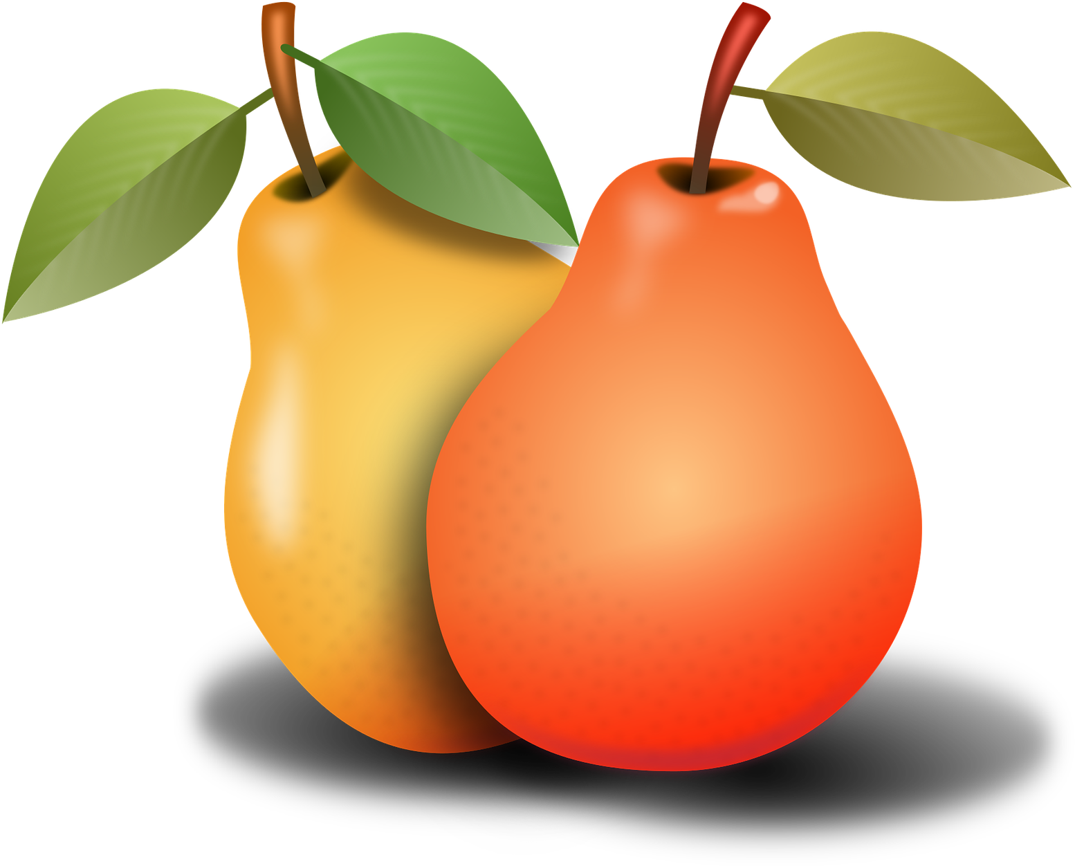 Pears 1920xx1920 - Pear (1920x1920)