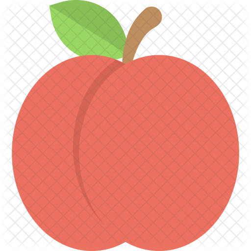 Apricot Icon - Universidade Do Vale Do Itajaí (512x512)