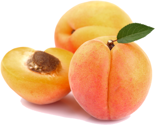 Apricot Display Resolution Clip Art - Apricot Display Resolution Clip Art (681x545)